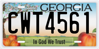 GA license plate CWT4561