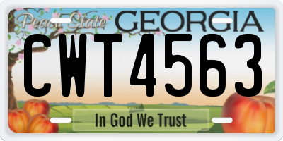 GA license plate CWT4563
