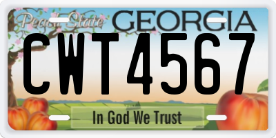GA license plate CWT4567