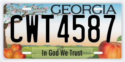 GA license plate CWT4587