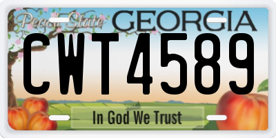 GA license plate CWT4589