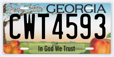 GA license plate CWT4593