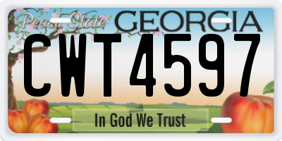 GA license plate CWT4597