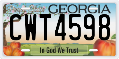 GA license plate CWT4598