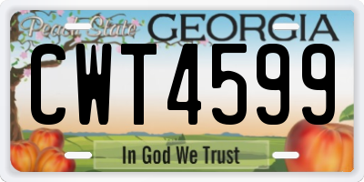GA license plate CWT4599