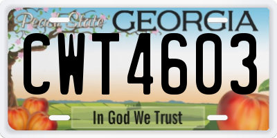 GA license plate CWT4603