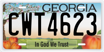 GA license plate CWT4623