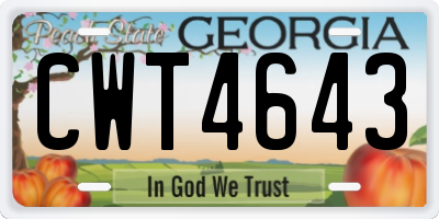 GA license plate CWT4643