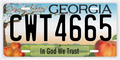 GA license plate CWT4665