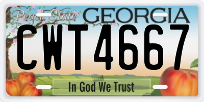 GA license plate CWT4667