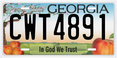 GA license plate CWT4891