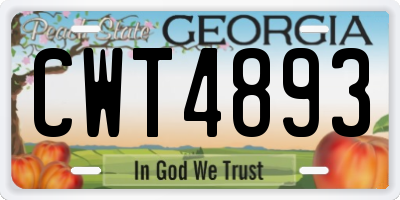 GA license plate CWT4893
