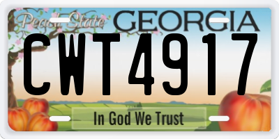 GA license plate CWT4917