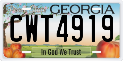 GA license plate CWT4919