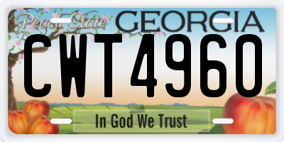 GA license plate CWT4960
