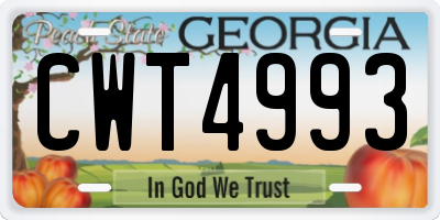 GA license plate CWT4993
