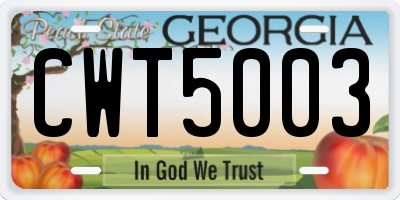 GA license plate CWT5003
