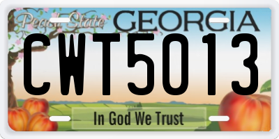 GA license plate CWT5013