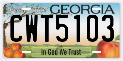 GA license plate CWT5103