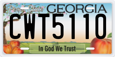 GA license plate CWT5110