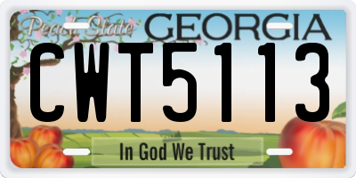 GA license plate CWT5113