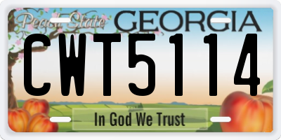 GA license plate CWT5114