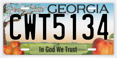 GA license plate CWT5134