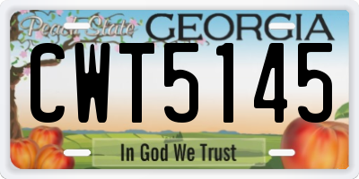 GA license plate CWT5145
