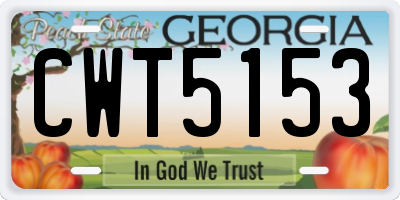 GA license plate CWT5153
