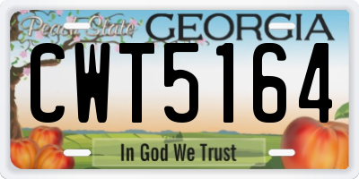 GA license plate CWT5164