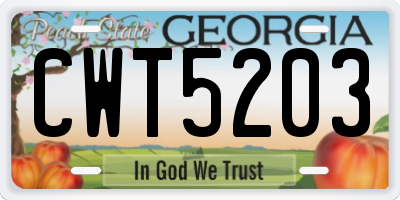 GA license plate CWT5203