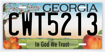 GA license plate CWT5213
