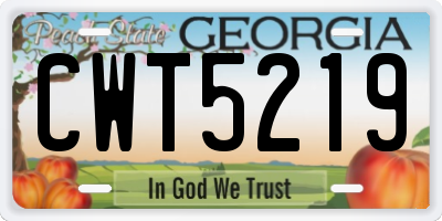 GA license plate CWT5219