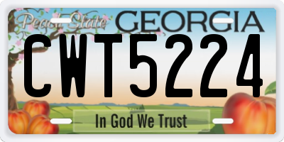 GA license plate CWT5224