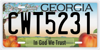 GA license plate CWT5231