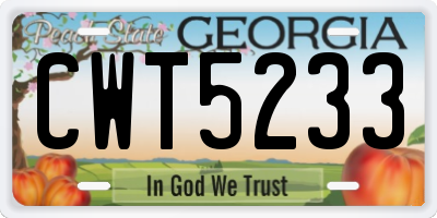 GA license plate CWT5233