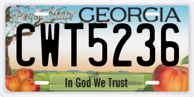 GA license plate CWT5236