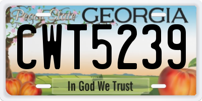 GA license plate CWT5239