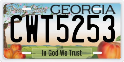 GA license plate CWT5253