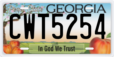 GA license plate CWT5254