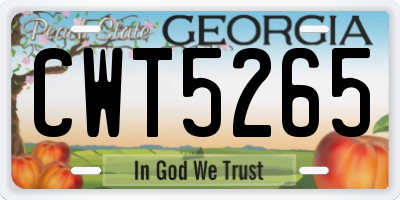 GA license plate CWT5265