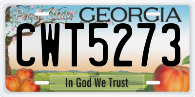 GA license plate CWT5273
