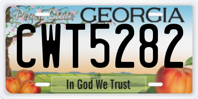 GA license plate CWT5282