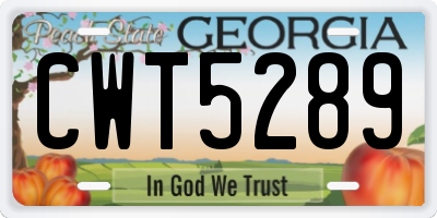 GA license plate CWT5289