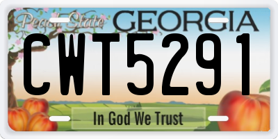 GA license plate CWT5291