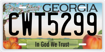 GA license plate CWT5299