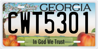 GA license plate CWT5301
