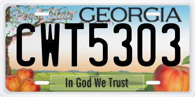 GA license plate CWT5303