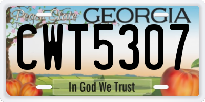 GA license plate CWT5307