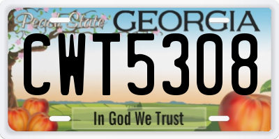 GA license plate CWT5308